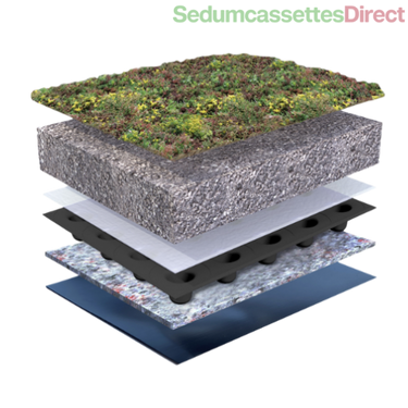 Een klassiek sedumdak met sterke en duurzame sedumbeplanting, geschikt voor diverse daktypen.